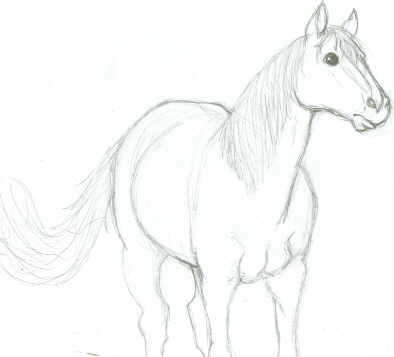Horse Sketch by 0ash0