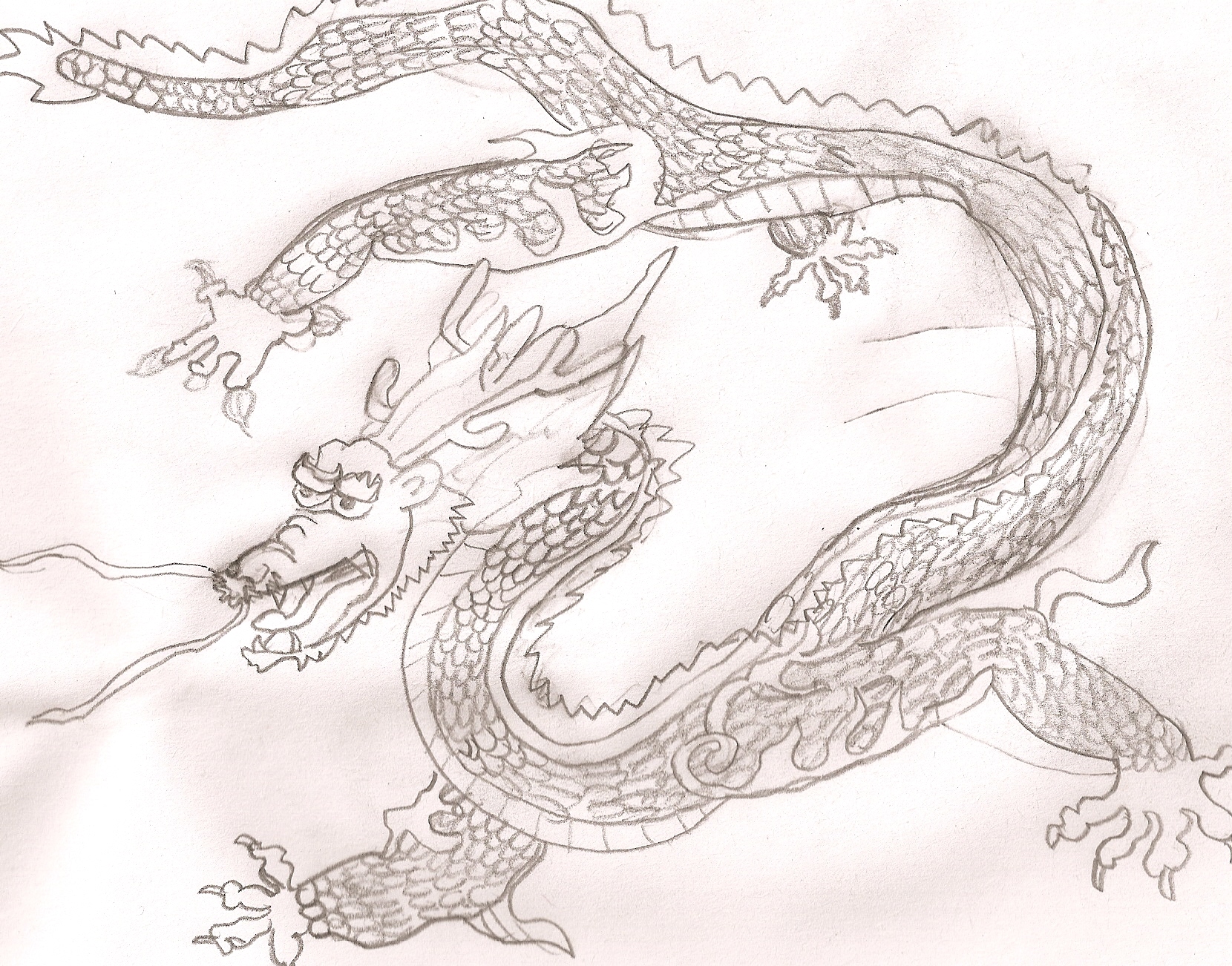 Chinese Dragon by 117masterchief
