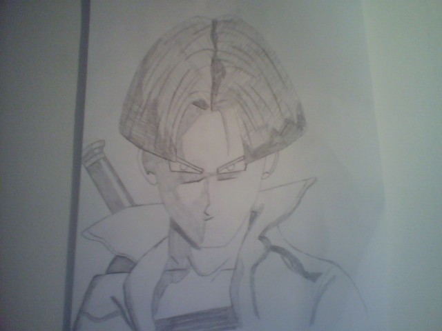 my pic of trunks from DBZ by 12incha