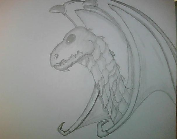 dragon fate by 1435dark