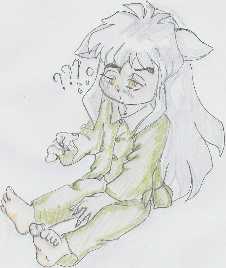 Inuyasha Contest Entry by 1mangalover