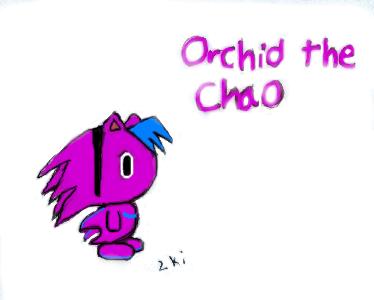 Orchid the Chao *gift for orchid* by 2ki_sugar_gliders