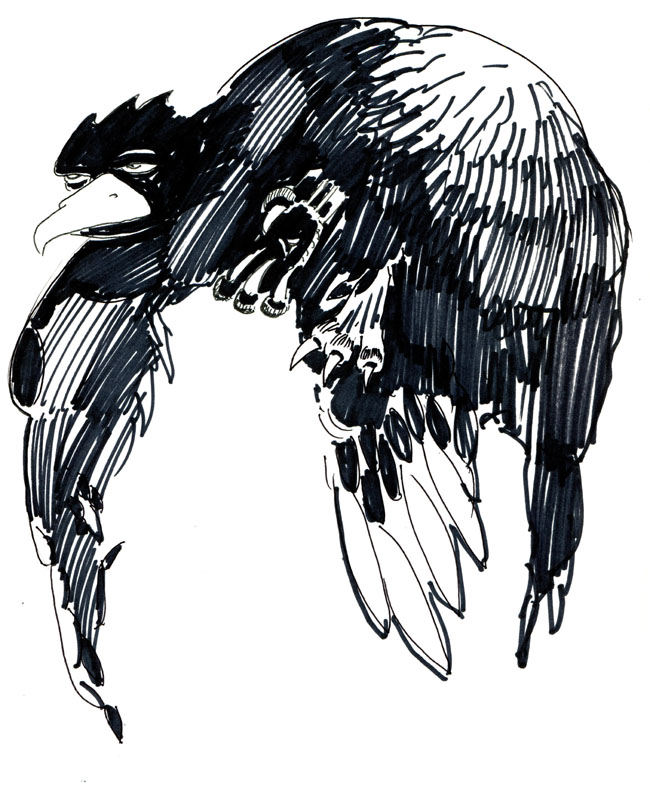 Blackbird by AJK