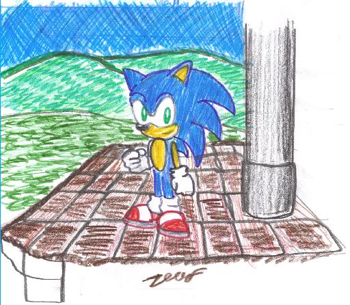 Another Sonic picture by AMnezcorp