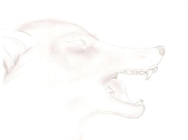 Werewolf (just the head) by Aethera