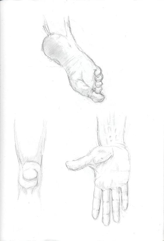 anatomy sketches by Afturlyfe