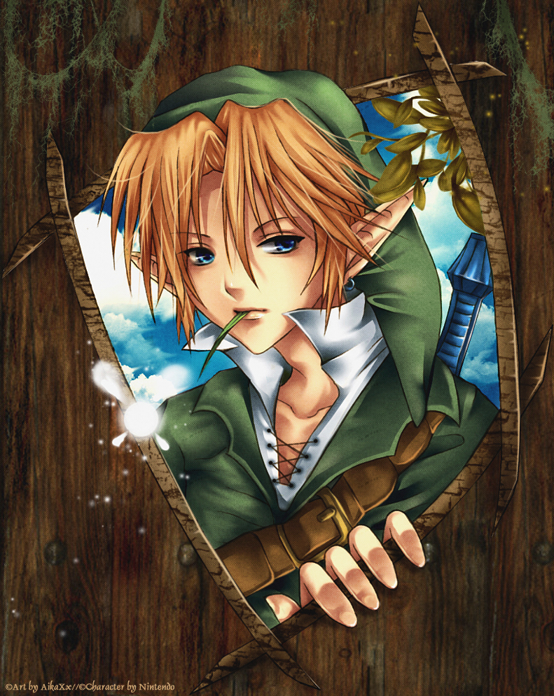 Link - Zelda by AikaXx