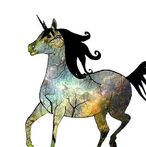 Random horse by AileyKara