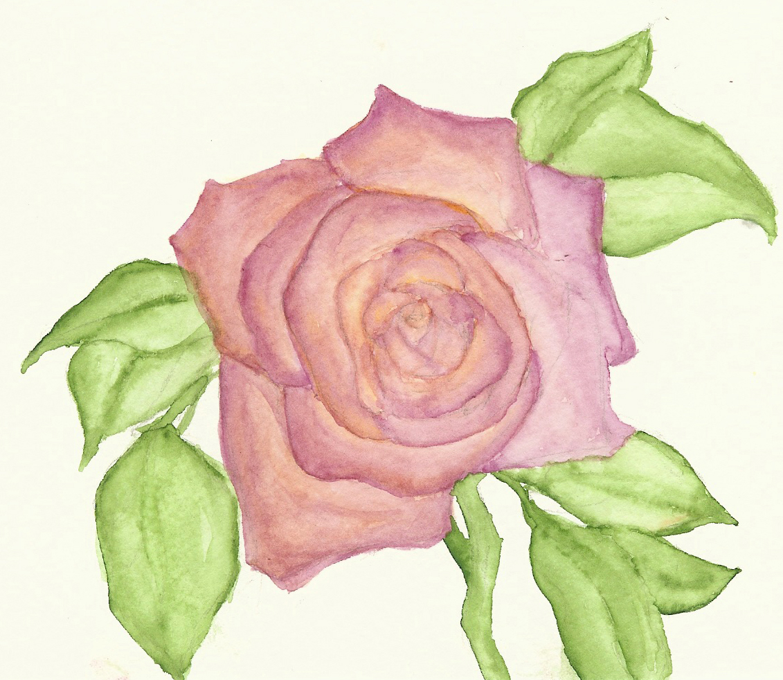 Watercolour Rose by AileyKara