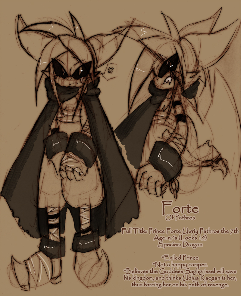 Forte Concept by Aizoku_TheJoker