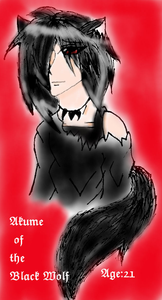 Akume of the black wolf (read description!) by Akien