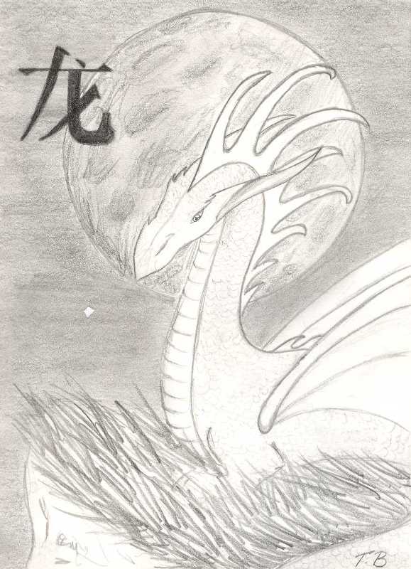 Dragon by Akihisa