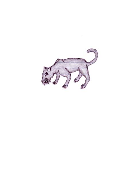 @_@ panther/ kitty thing? by Akiko_Morana