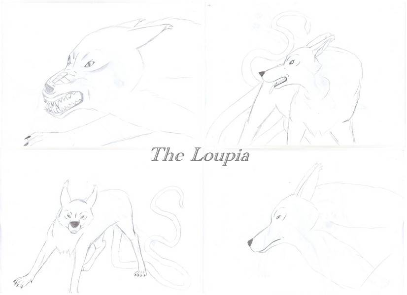 loupia by Alaska