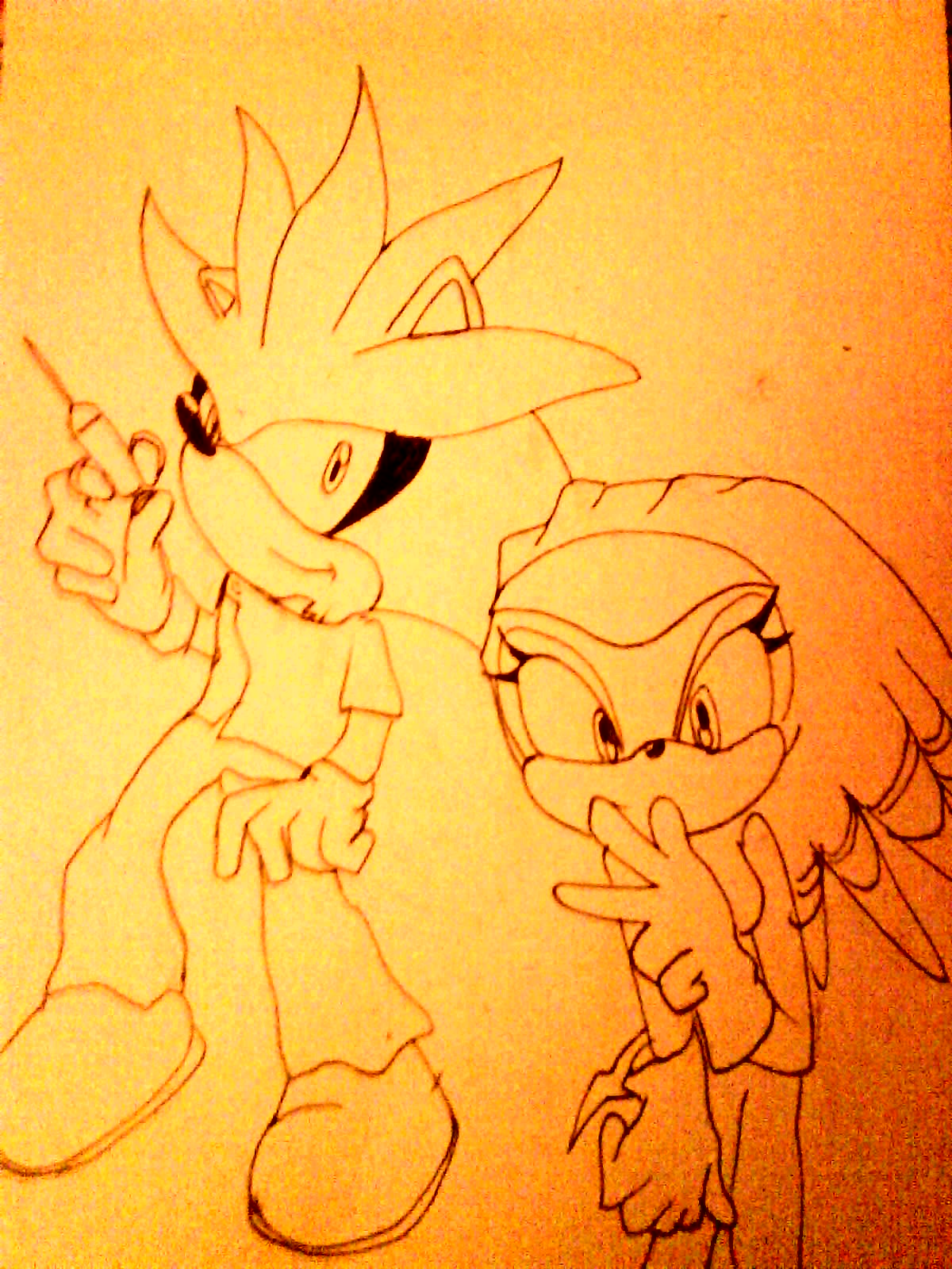 RQ MasterAccount Silver the Hedgehog and Shade the Echidna by AlexFox11