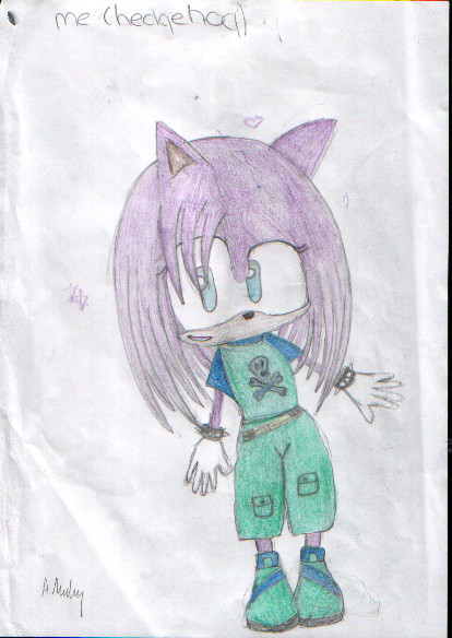 Alice The Hedgehog (Me) by Alice9912