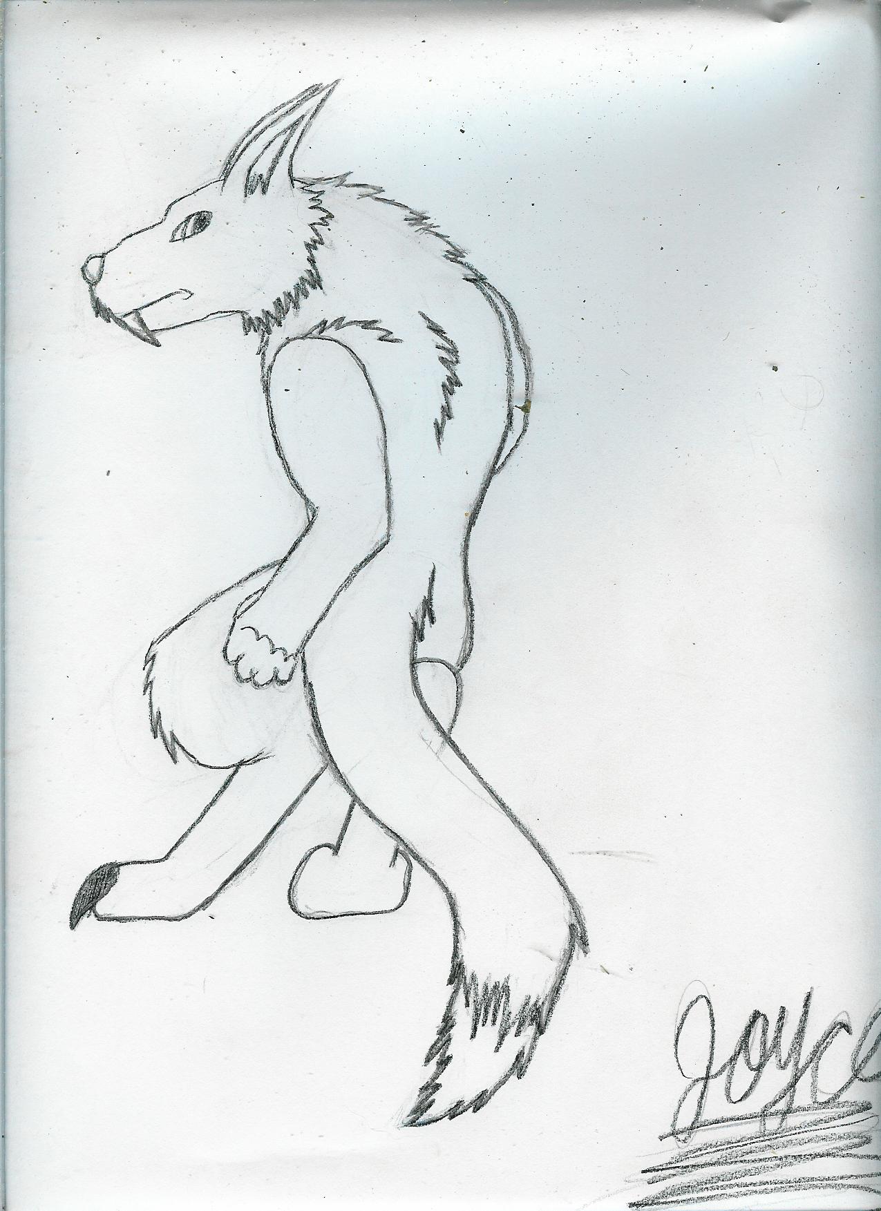 lone wolf by AlphaTimberWulf