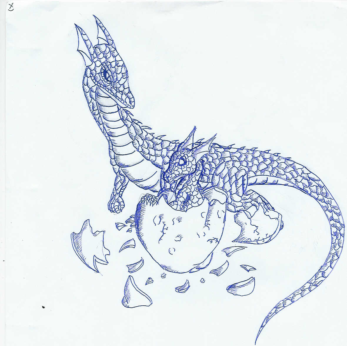 dragon 5 by Alx