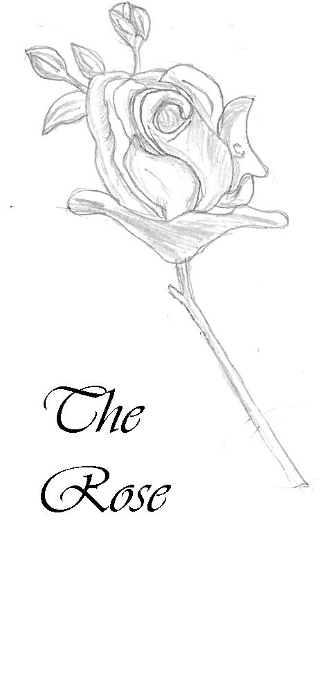 The rose by AlysInWonderland