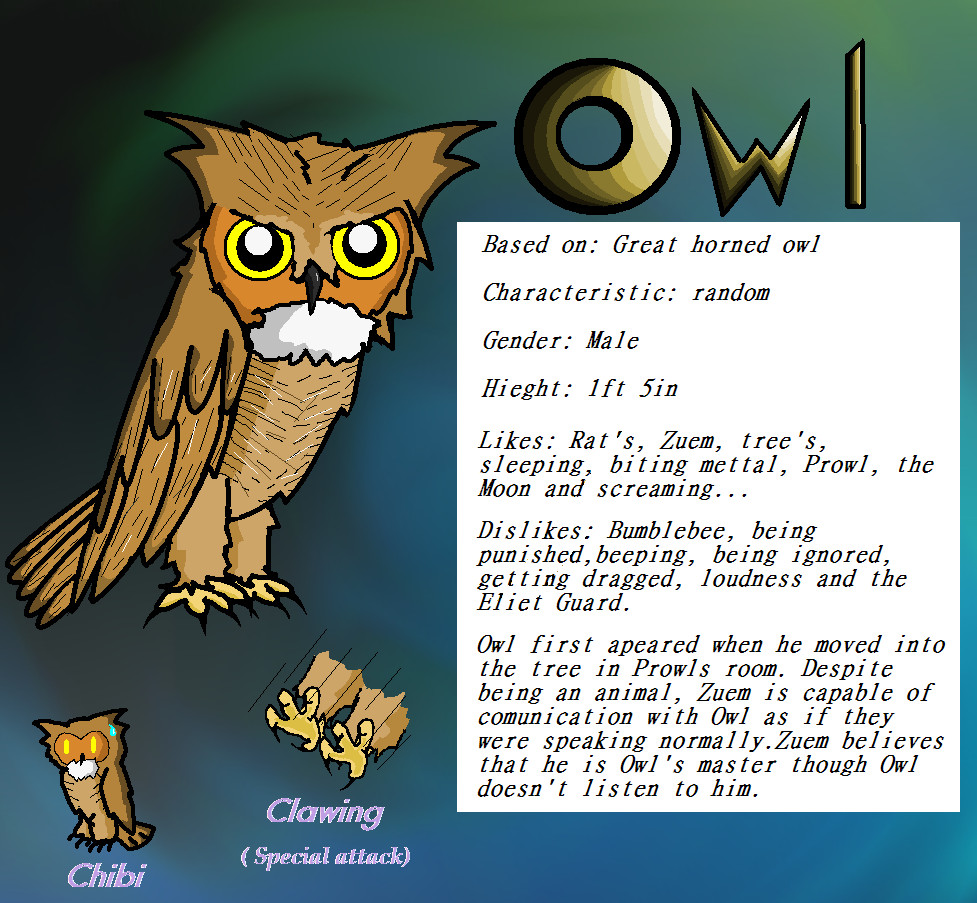 Owl description by AlyssaC