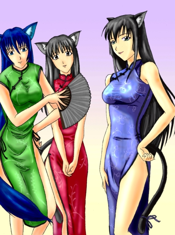 Aoyama Catgirls by Amadeus