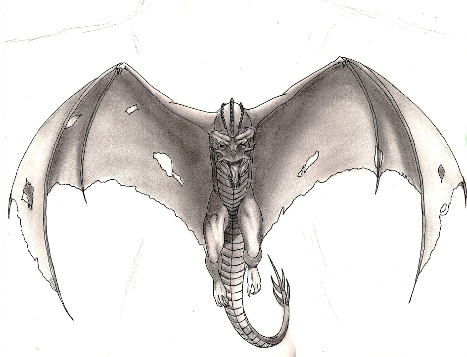 Dragon Tattoo by Amadeus