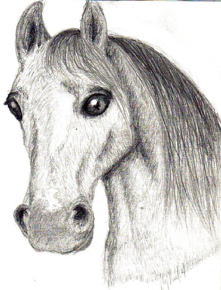 Shadina's Horse by AmeliaVonStrangle