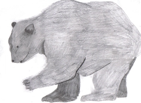 Polar Bear by Amorith