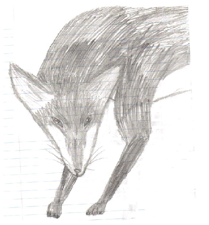 A fox I drew in less than 5 minutes by Amoro325