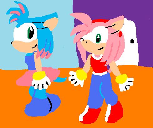 Courtney the Hedgehog and Amy Rose by AmyRose123
