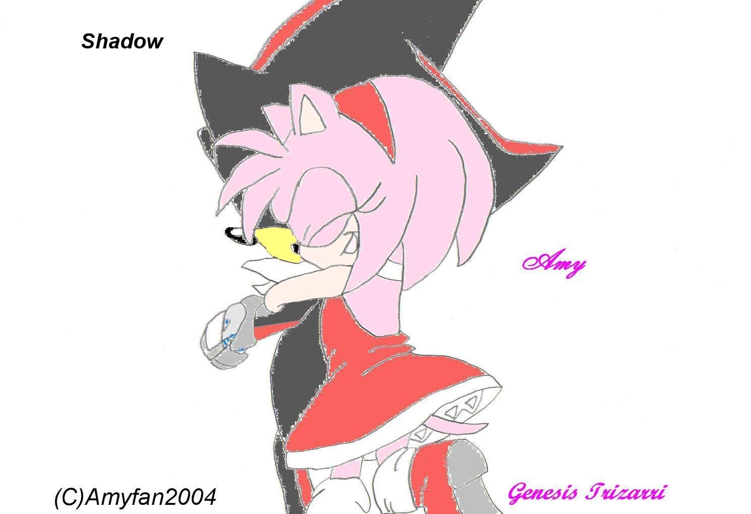 Shadow & Amy- Request from A cat by Amyfan2004