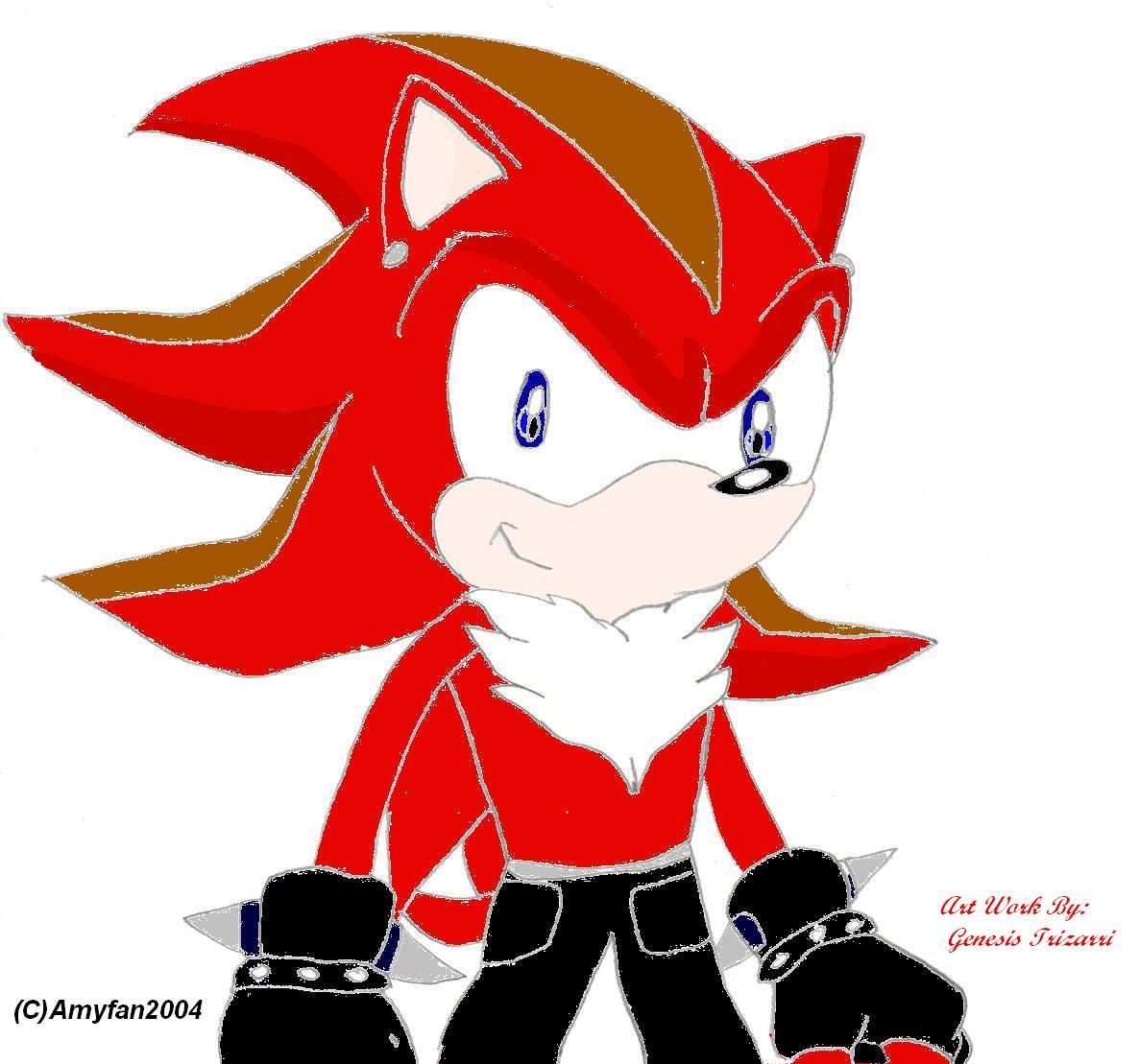 Request From Revenge The Hedgehog by Amyfan2004