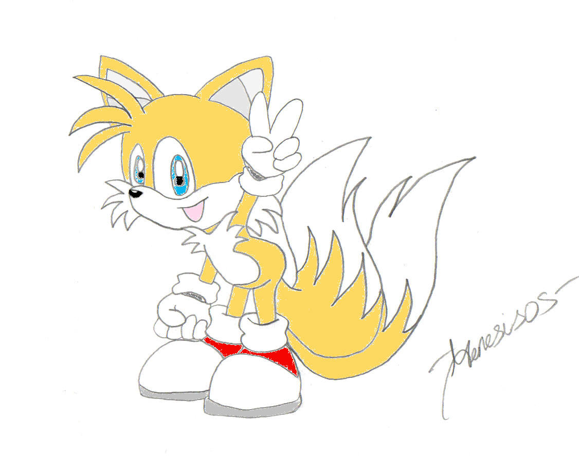 Cute Tails^^ by Amyfan2004