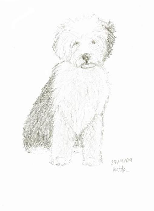 Dog (attempted realism) by AngelKite