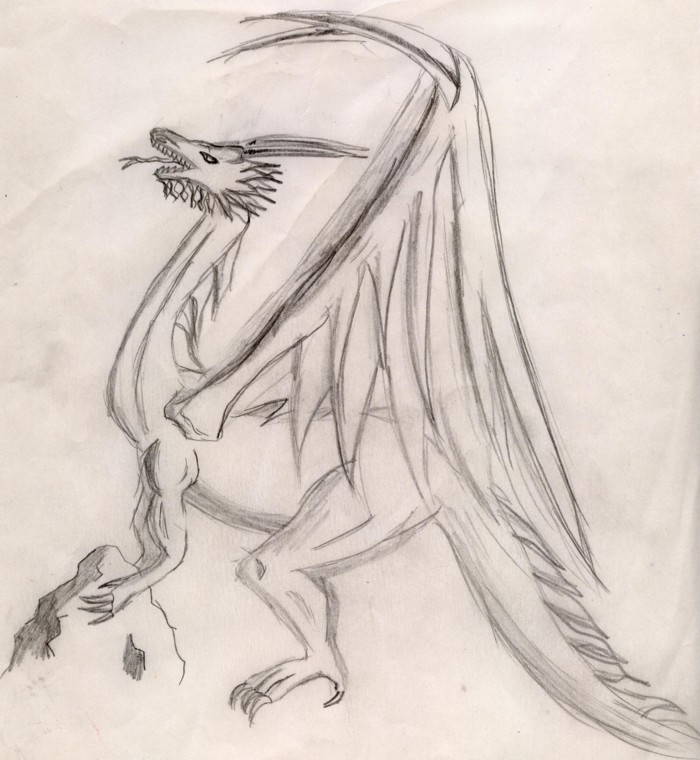 Dragon ( I'm starting to do requests ) by Angel_of_Purifing_Light