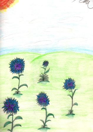 Flowers by AngelicKitten