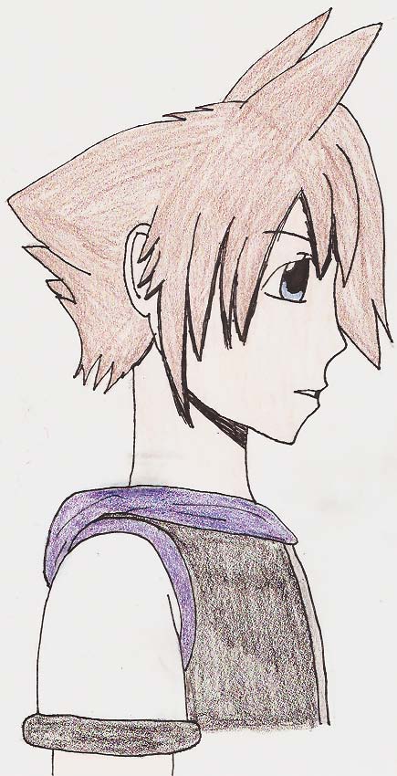 Sora attempt - profile by Anime-Bee-I-Dun-Wanna