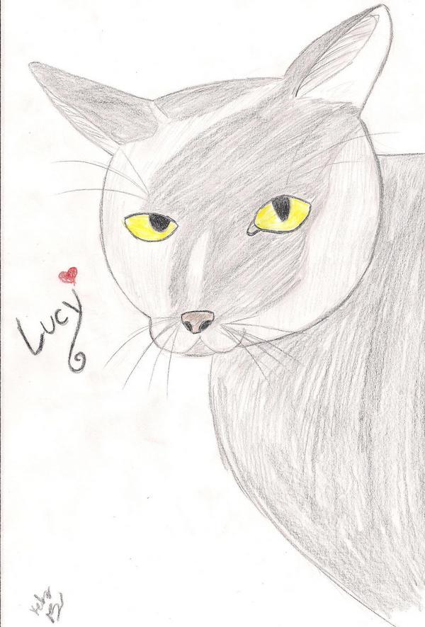 Lucy the black cat by AnimeFreakazoider
