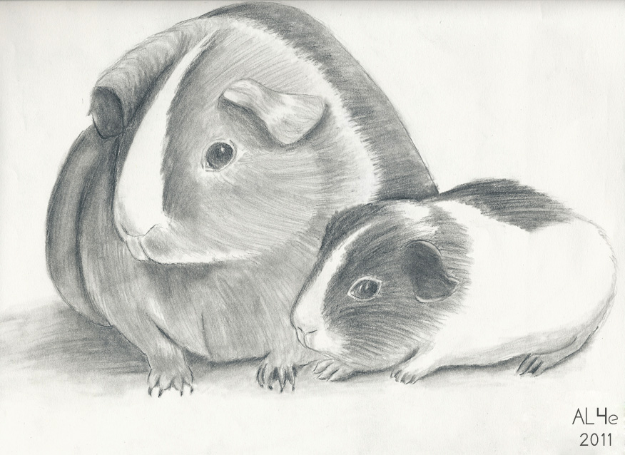 Guinea Pigs! by AnimeLover4ever