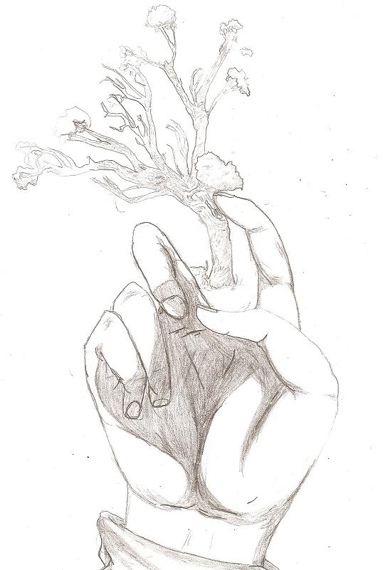 Hand & Tree by Anime_Eyes