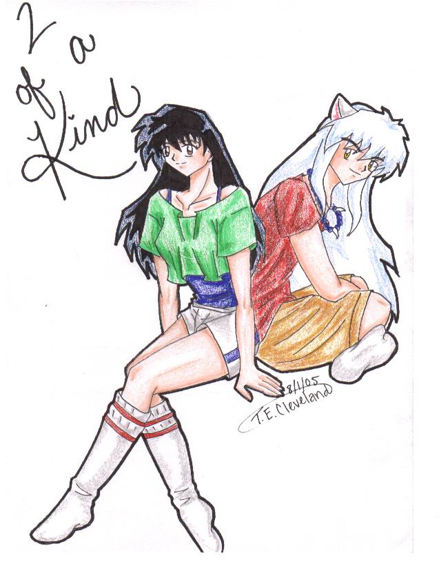 2 of a kind by Animegirl2429