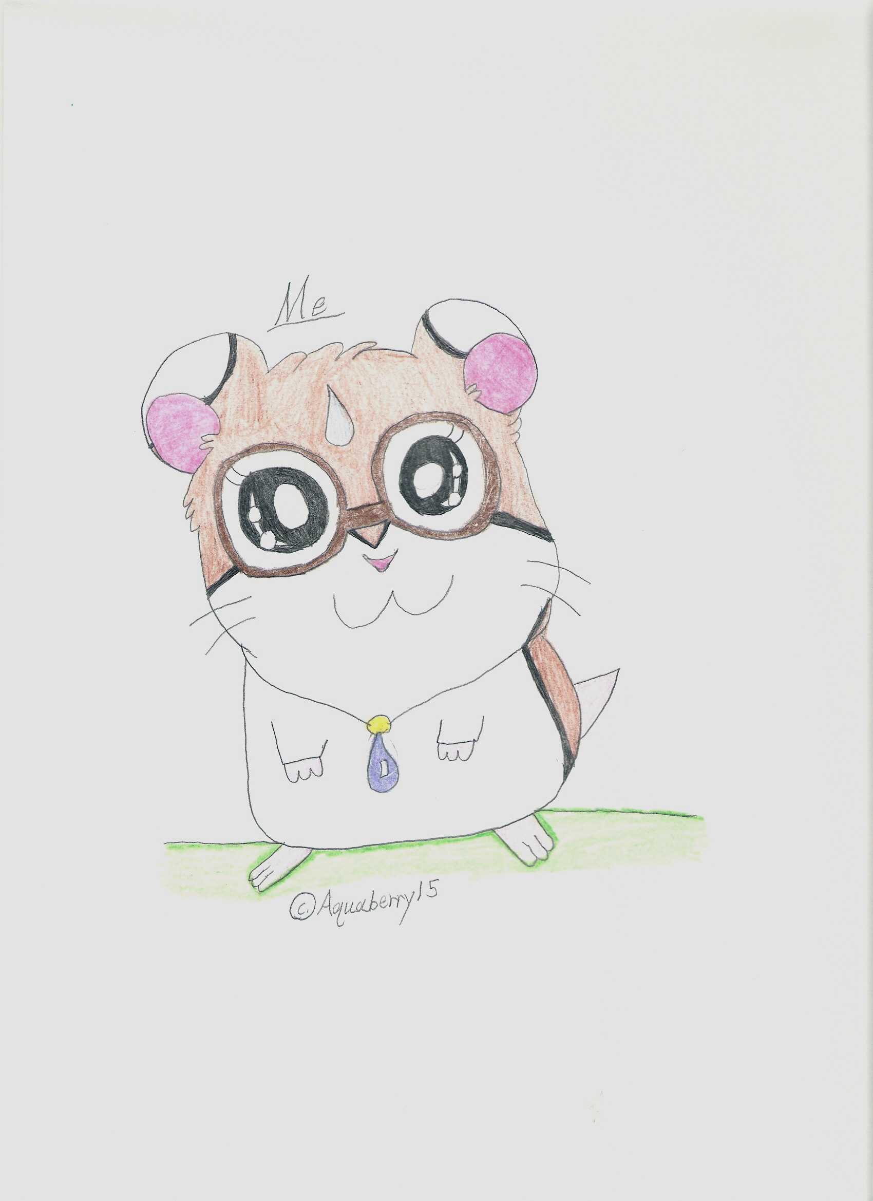 Me as a Hamtaro Charater by Aquaberry15