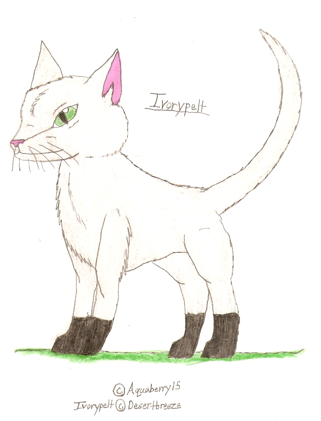 Ivorypelt by Aquaberry15