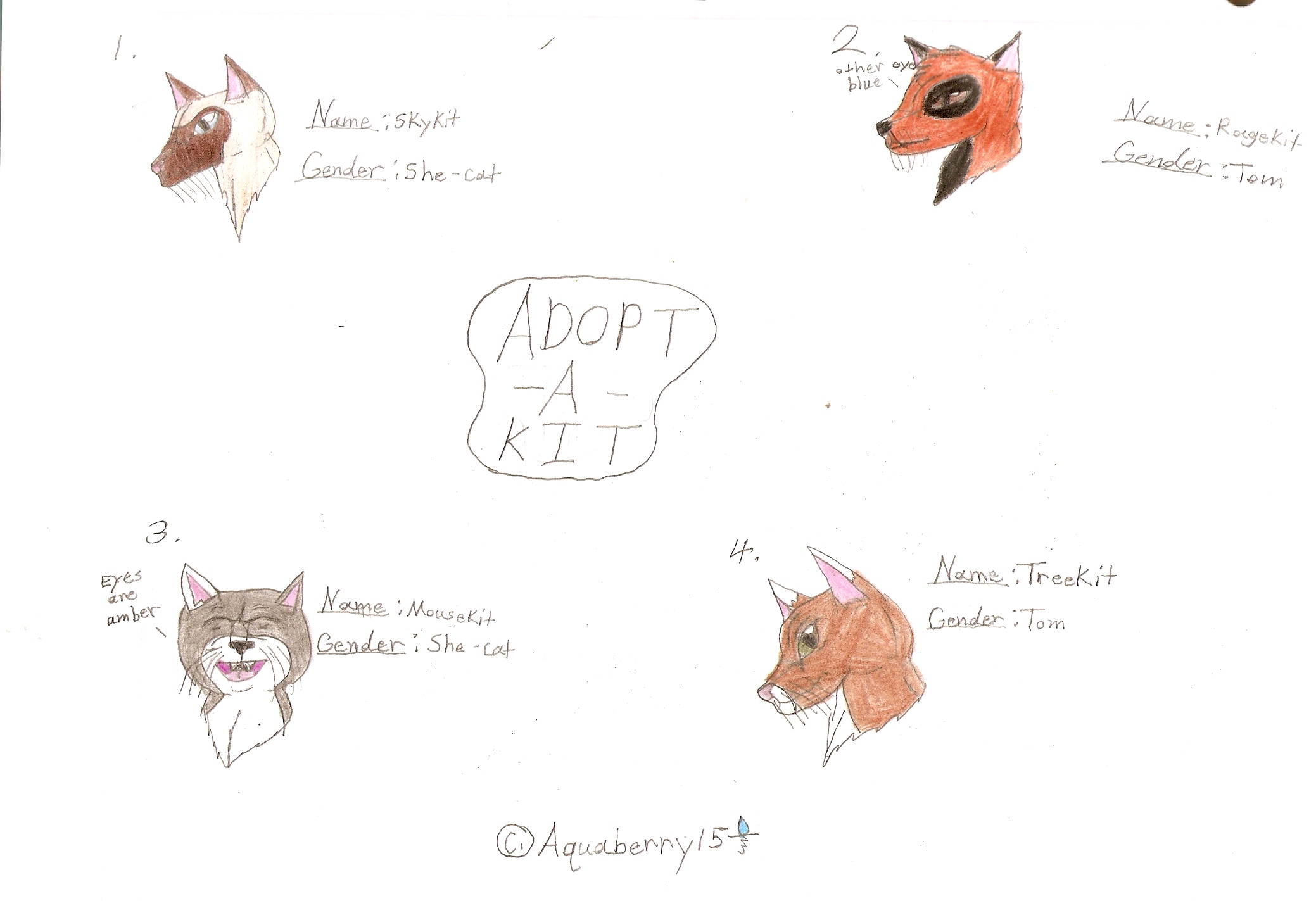 Adopt - A - Kit by Aquaberry15