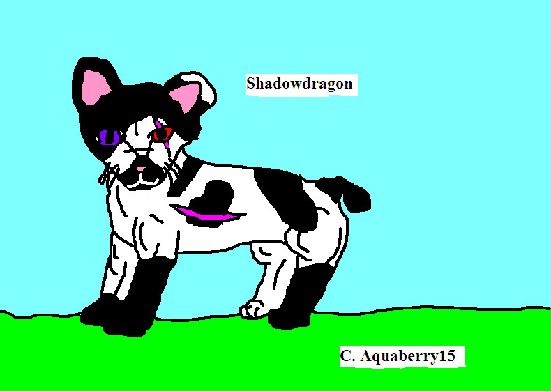 Shadowdragon *entry for Desertbreeze's Contest* by Aquaberry15