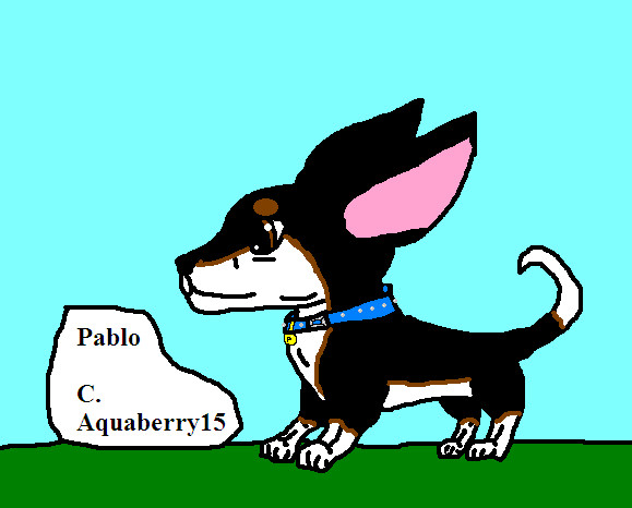 Pablo, my dream dog! XD by Aquaberry15