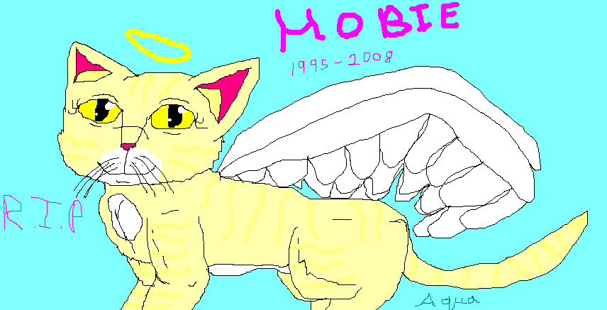 My beloved Hobie... by Aquaberry15