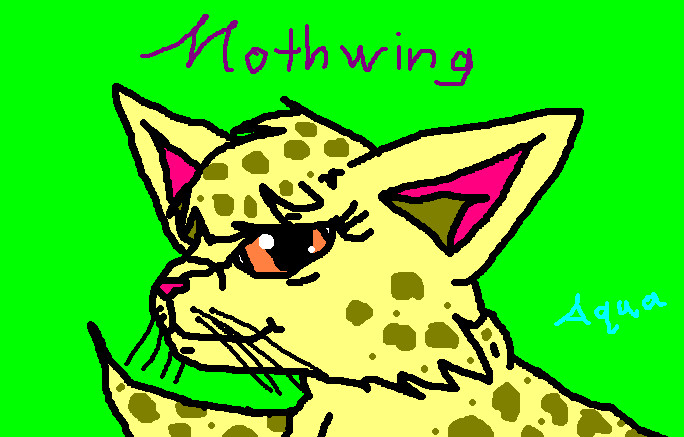 Mothwing by Aquaberry15
