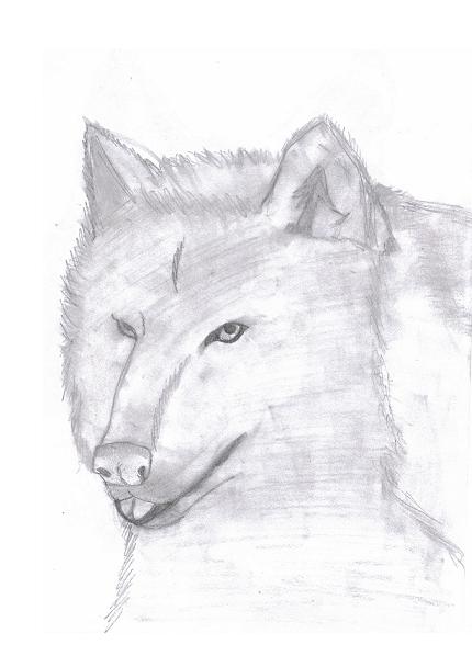 Wolf1 by ArcticWolfDemon