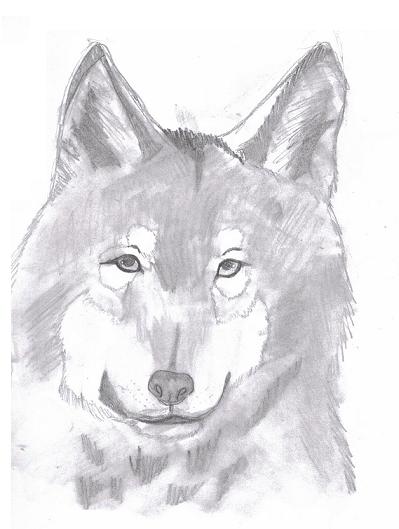 Wolf2 by ArcticWolfDemon